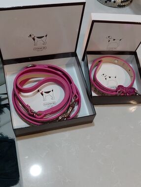 Coach Pink Leather Dog Leash and Collar Set with Signature Trim